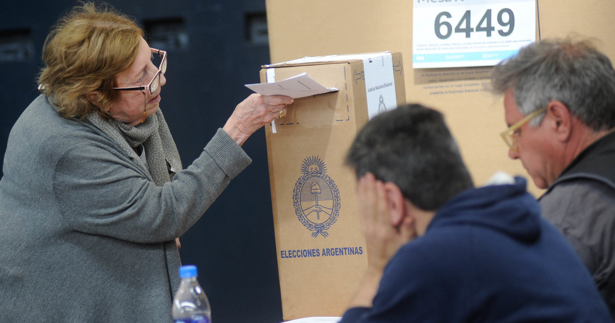 Elecciones 2025 Con La Suspensión De Las Paso Cuántas Veces Hay Que